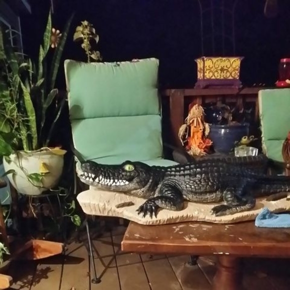 googinsrichard3